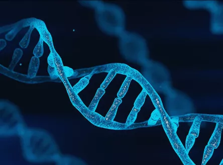 BIO